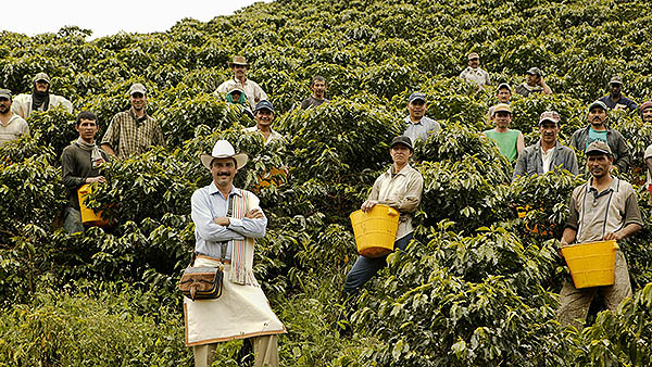 Кофе в зернах CUATTRO Colombia Supremo (Колумбия) цена с доставкой по России